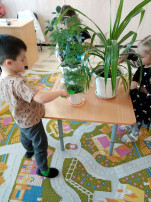 Занятие в средней группе "Уход за комнатными цветами" Занятие в средней группе "Уход за комнатными цветами".